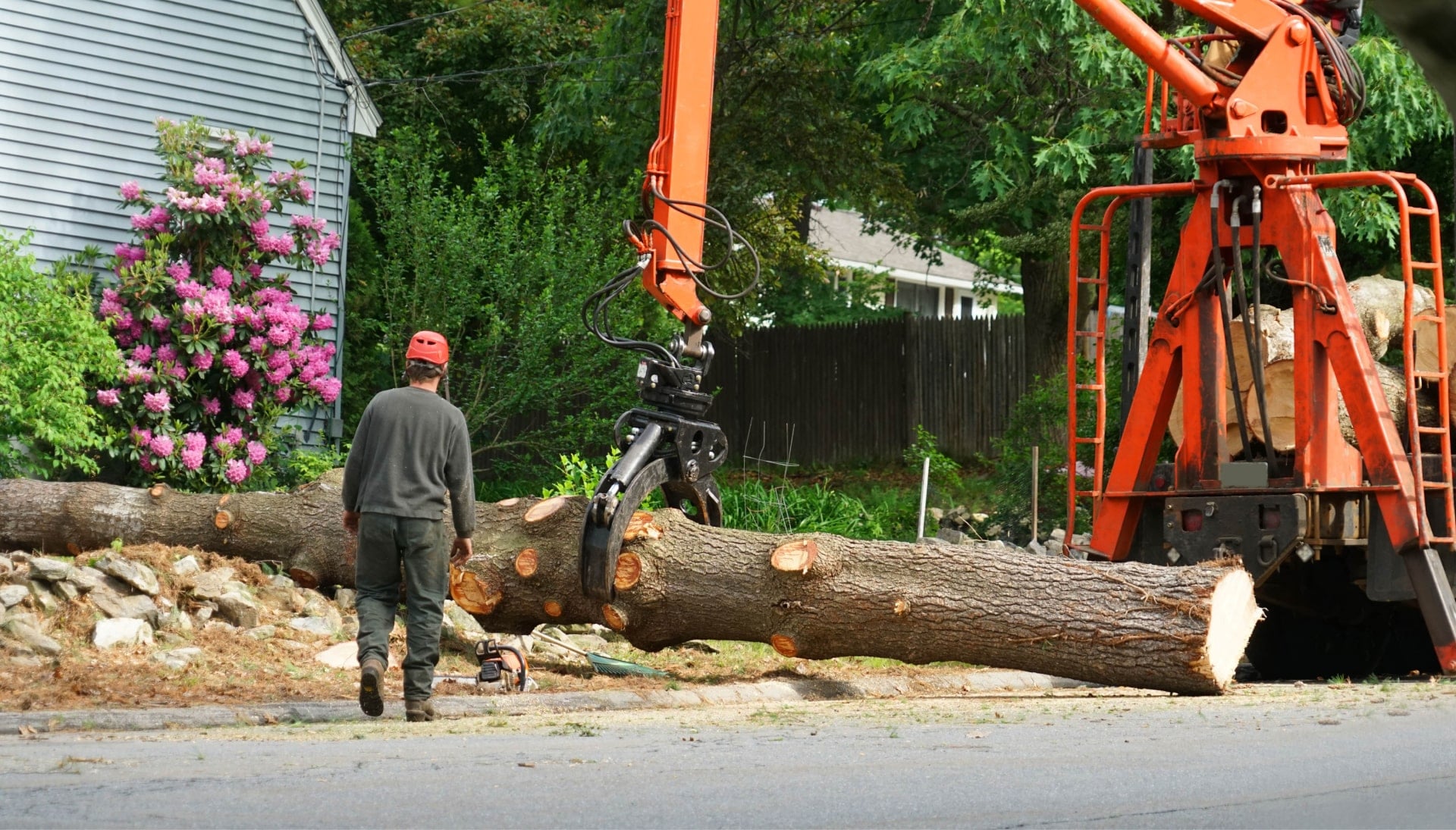Local partner for Tree removal services in Gilbert
