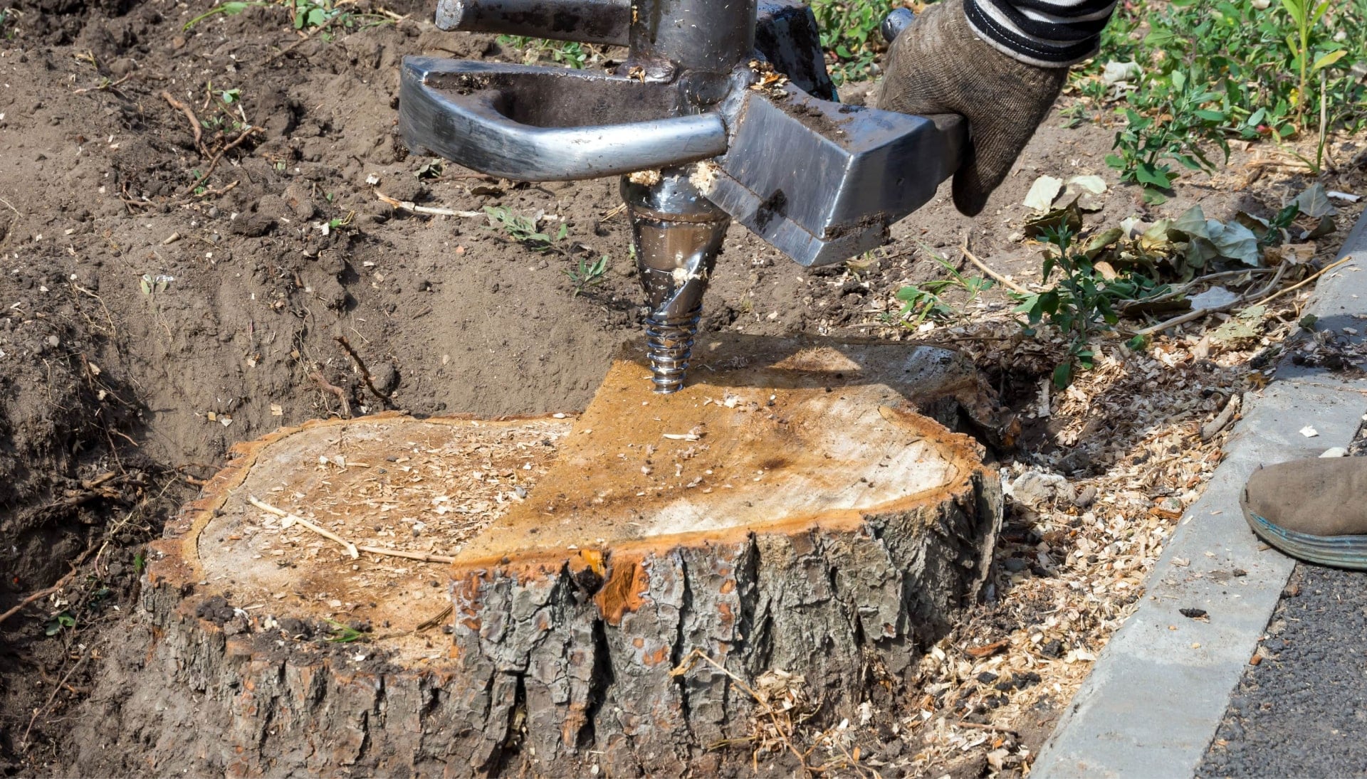 Gilbert Tree stump removal